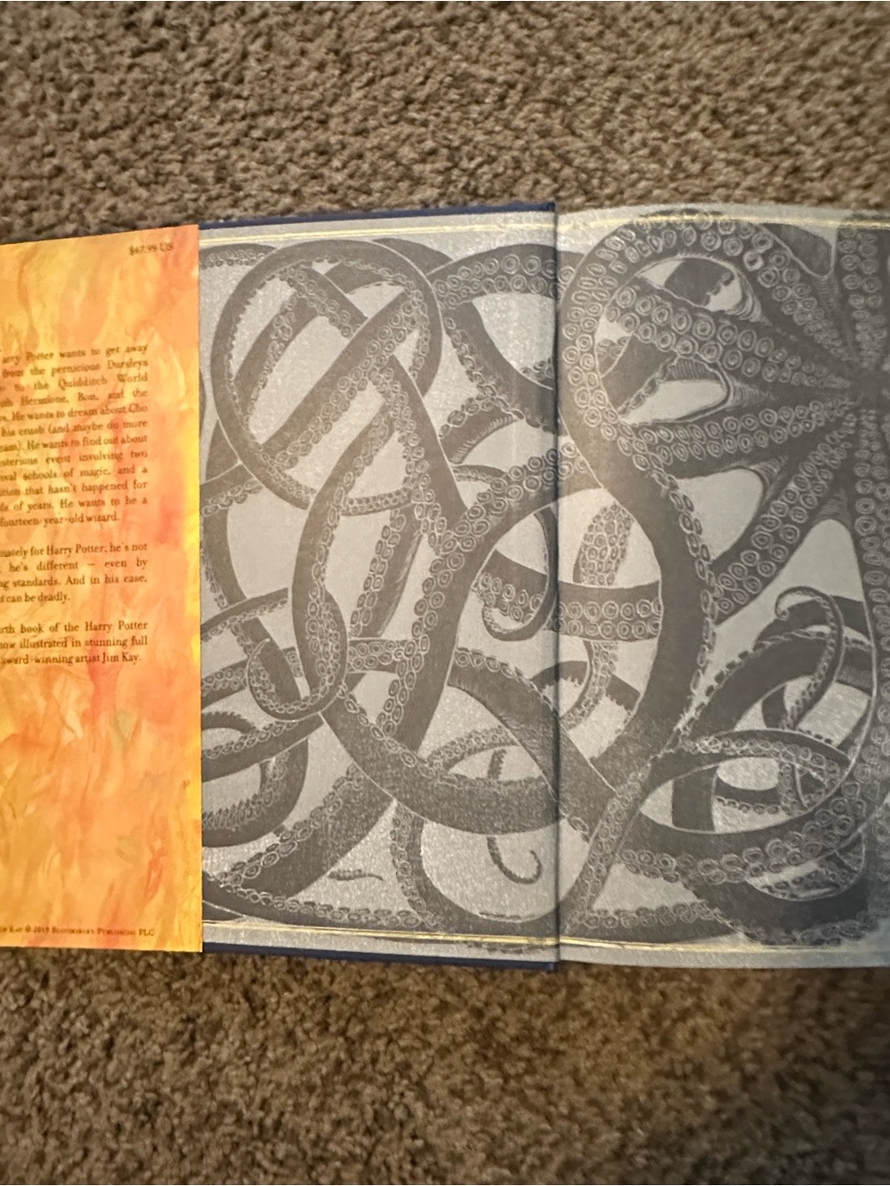 Harry Potter Goblet of Fire Illustrated - Picture 6 of 6